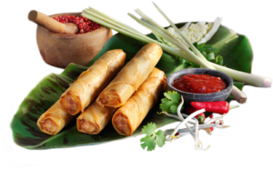 D360342--Vietnamese-Loempia’s-met-Kip-transparant-v2