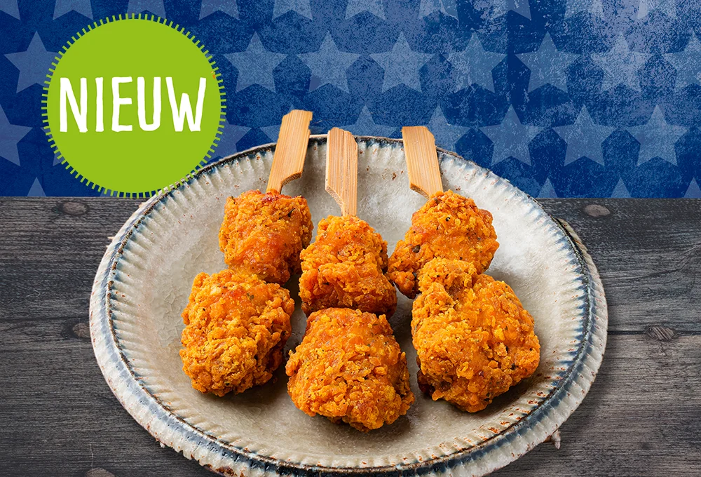 Duca Crispy Chicken Bites – Indian Satay 200g-NIEUW
